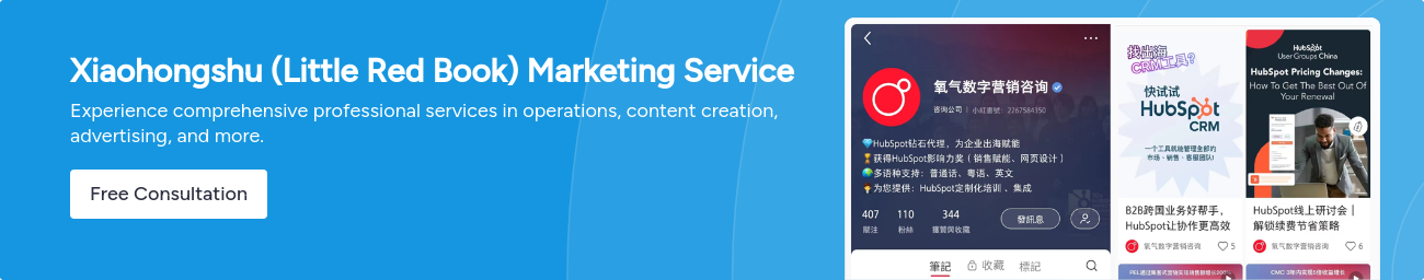 Xiaohongshu (Little Red Book) Marketing Service